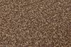 Cocoa