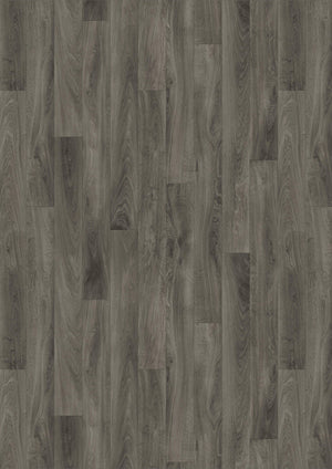 Oak Anthracite