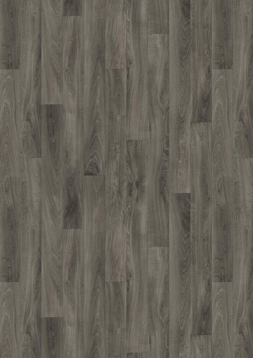 Oak Anthracite