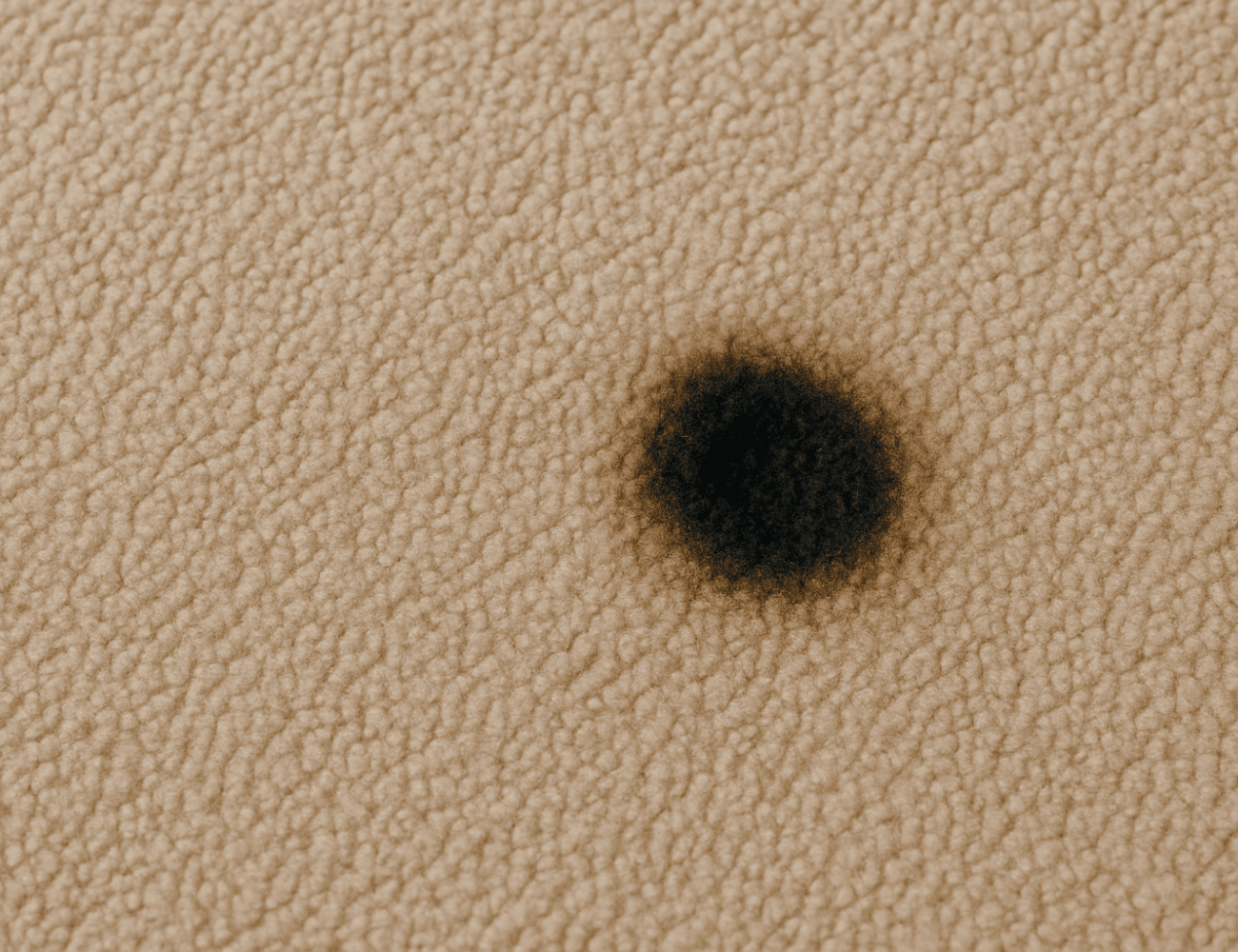 How to Fix Burnt Carpet: Step-by-Step Repair Guide