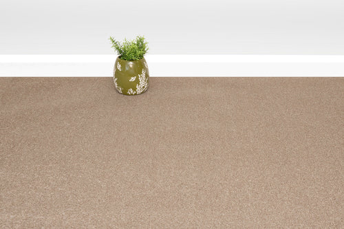 Beige Carpets