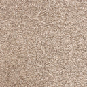 Beige Swatch