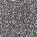 Charcoal Swatch