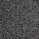 Charcoal Swatch