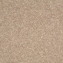 Taupe Swatch