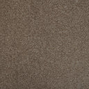 Coffee Swatch