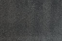 Platinum Swatch