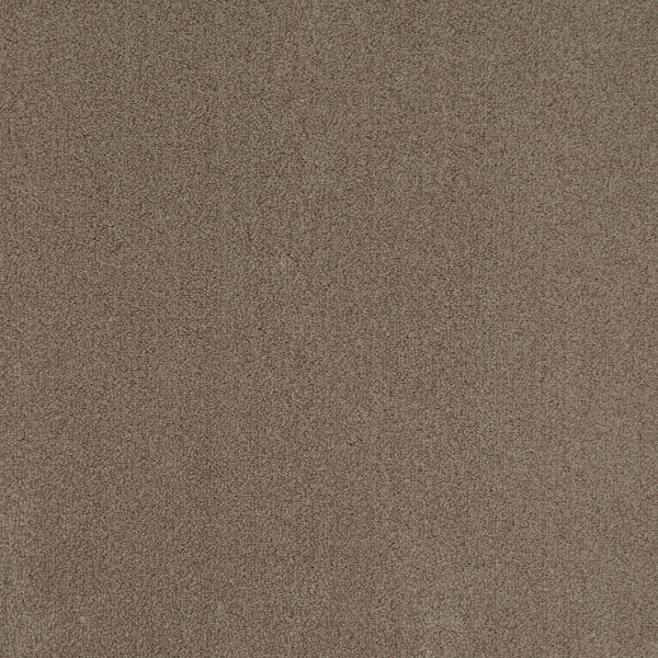 Cocoa