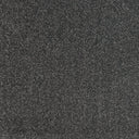 Silver Swatch