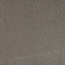 Almond Swatch