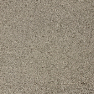 Alexandria Supersoft Carpet