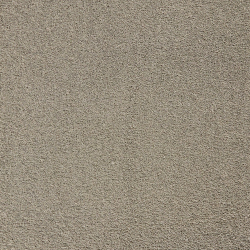 Alexandria Supersoft Carpet