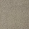Alexandria Supersoft Carpet