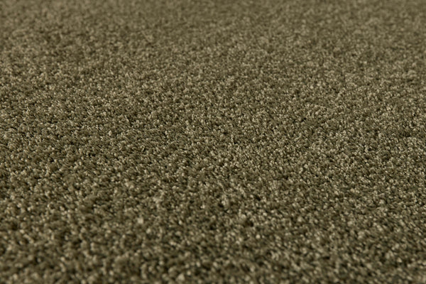 Moss