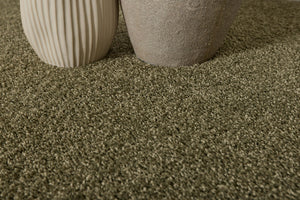 Moss