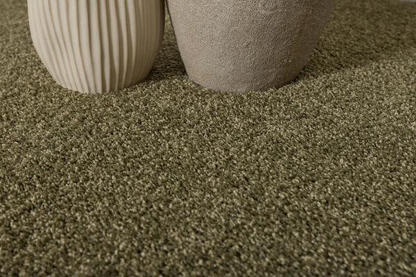 Moss