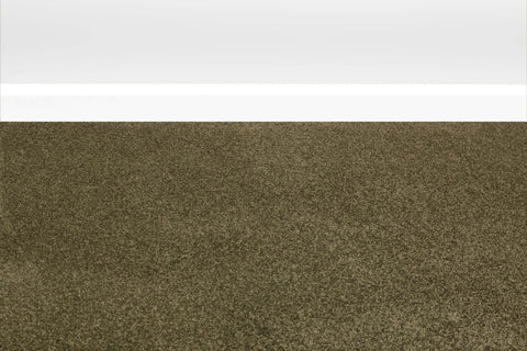 Moss
