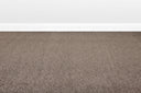 Safari Swatch