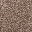 Brown Swatch