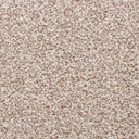 Caramel Swatch