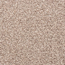 Oatmeal Swatch