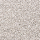 Warm Grey Swatch