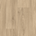 Pale Oak
