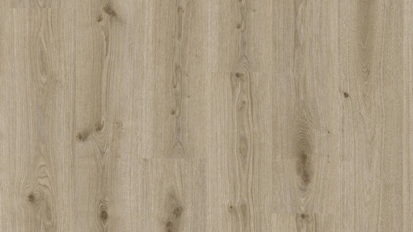 Prime Oak