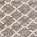 Beige/Brown Swatch