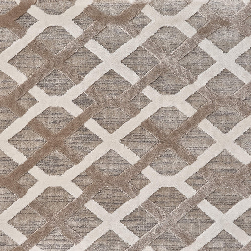 Beige/Brown