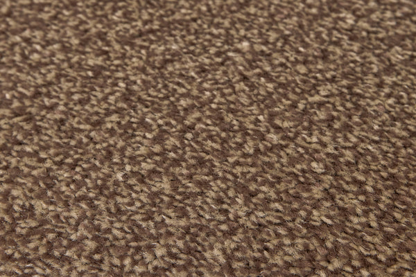 Cocoa