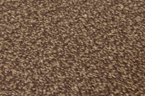 Cocoa