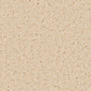 Biscuit Swatch