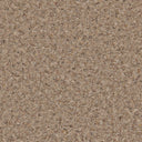 Oak Swatch