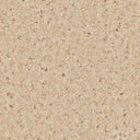 Savannah Swatch