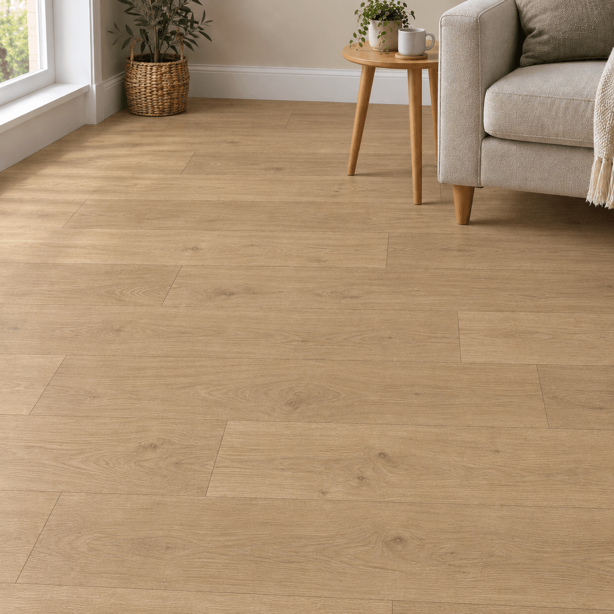 Soft Oak
