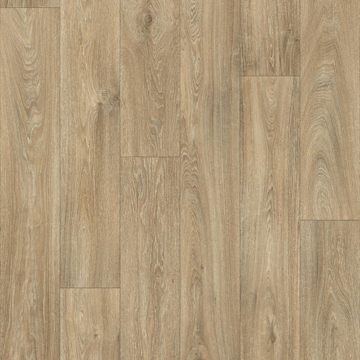 Warm Oak