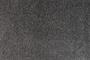 Platinum Swatch