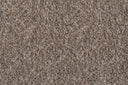 Biscuit Swatch