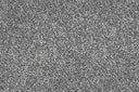 Moon Swatch