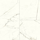 White Swatch