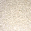 Ivory Swatch