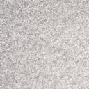 Light Grey Swatch