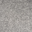 Pewter Swatch