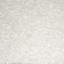 Platinum Swatch