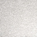 Silver Swatch
