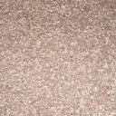 Taupe Swatch