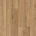 Oak