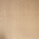Beige Swatch