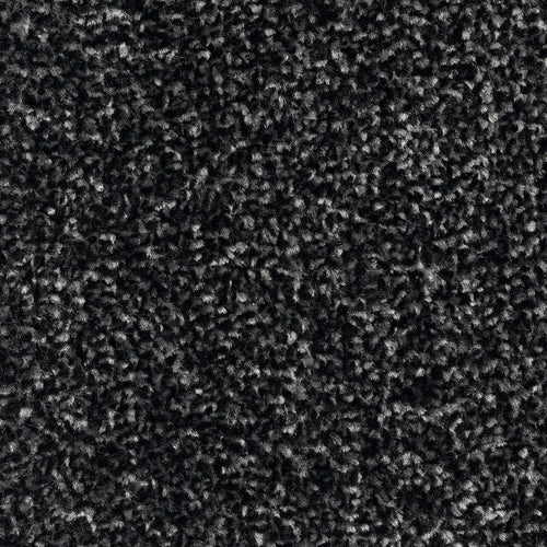 Charcoal